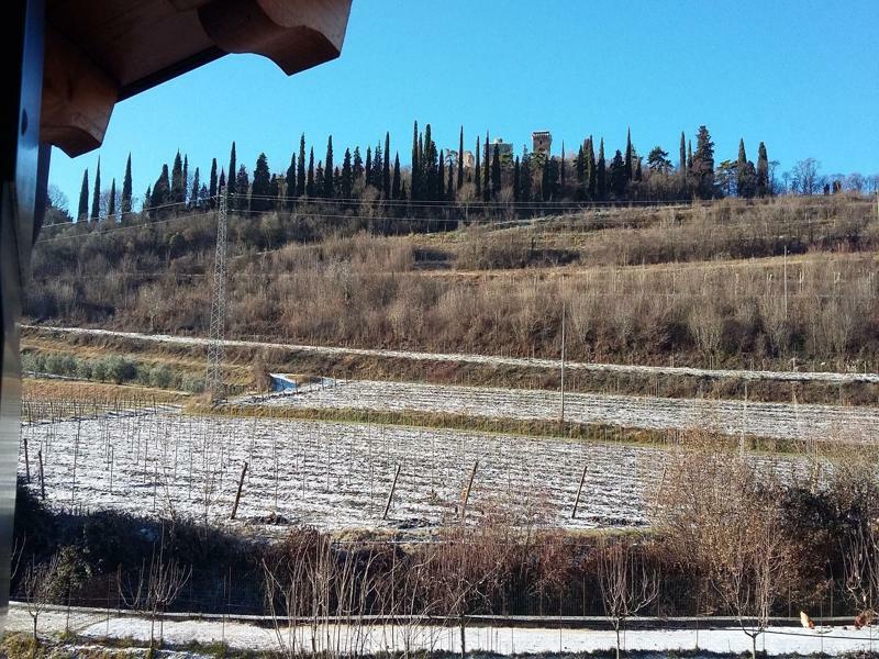 Agriturismo Corte Carolina Верона Екстериор снимка